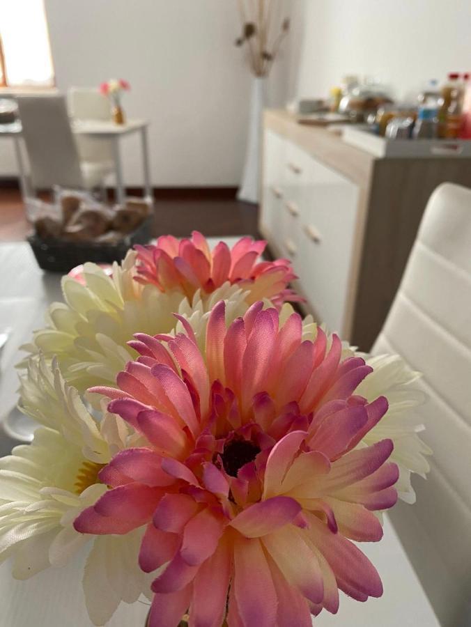 Bed & Breakfast Il Caravaggio Grassobbio